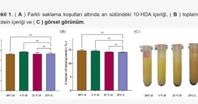 Arı Sütünün Oda Sıcaklığında ve Gün Işığında Kısa Süreli Depolanmasındaki Değişim
